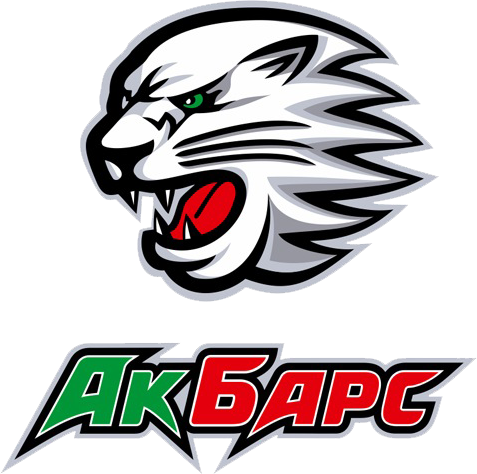 Ak Bars Kazan 2010-Pres Alternate logo iron on transfers for clothing